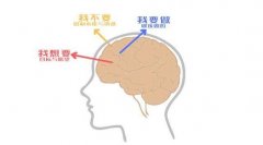 怎样正确培养孩子的自制力？