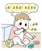 宝宝口欲期什么时候开始？