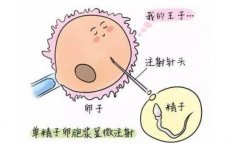 在北京协和院做二代试管的详细费用，这里带你深入了解