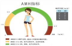 一文解读AMH值及与女性生育力之间的关系