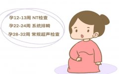 nt图看男女准确率高吗？真实情况是怎么样的