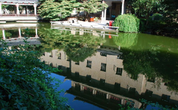 浙江中医药大学附属金华中医院池塘风景